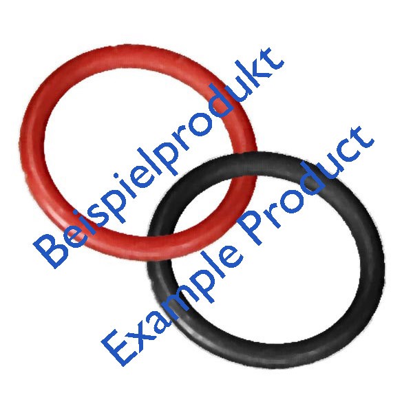 O-Ring