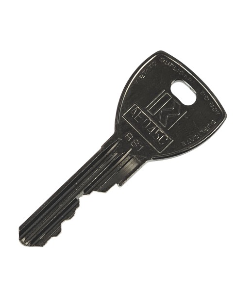 Rielda - Programmierschlüssel -RS1- AE045C